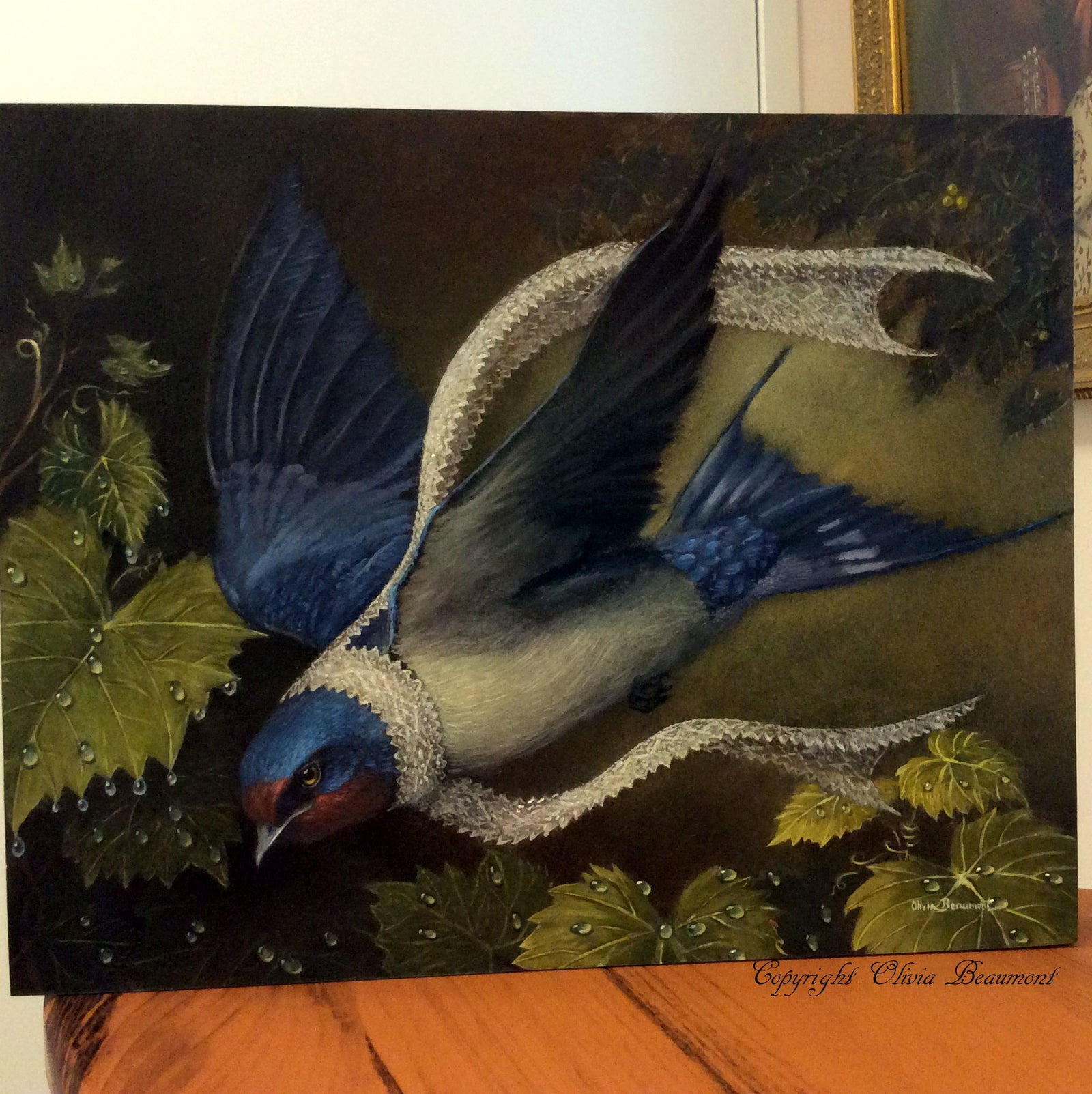 The Barn Swallow