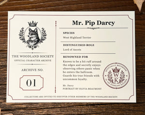 Mr. Pip Darcy - Westie