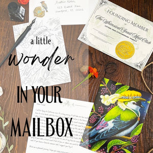 Whimsical Snail Mail Club: Letters from Extraordinary Animals