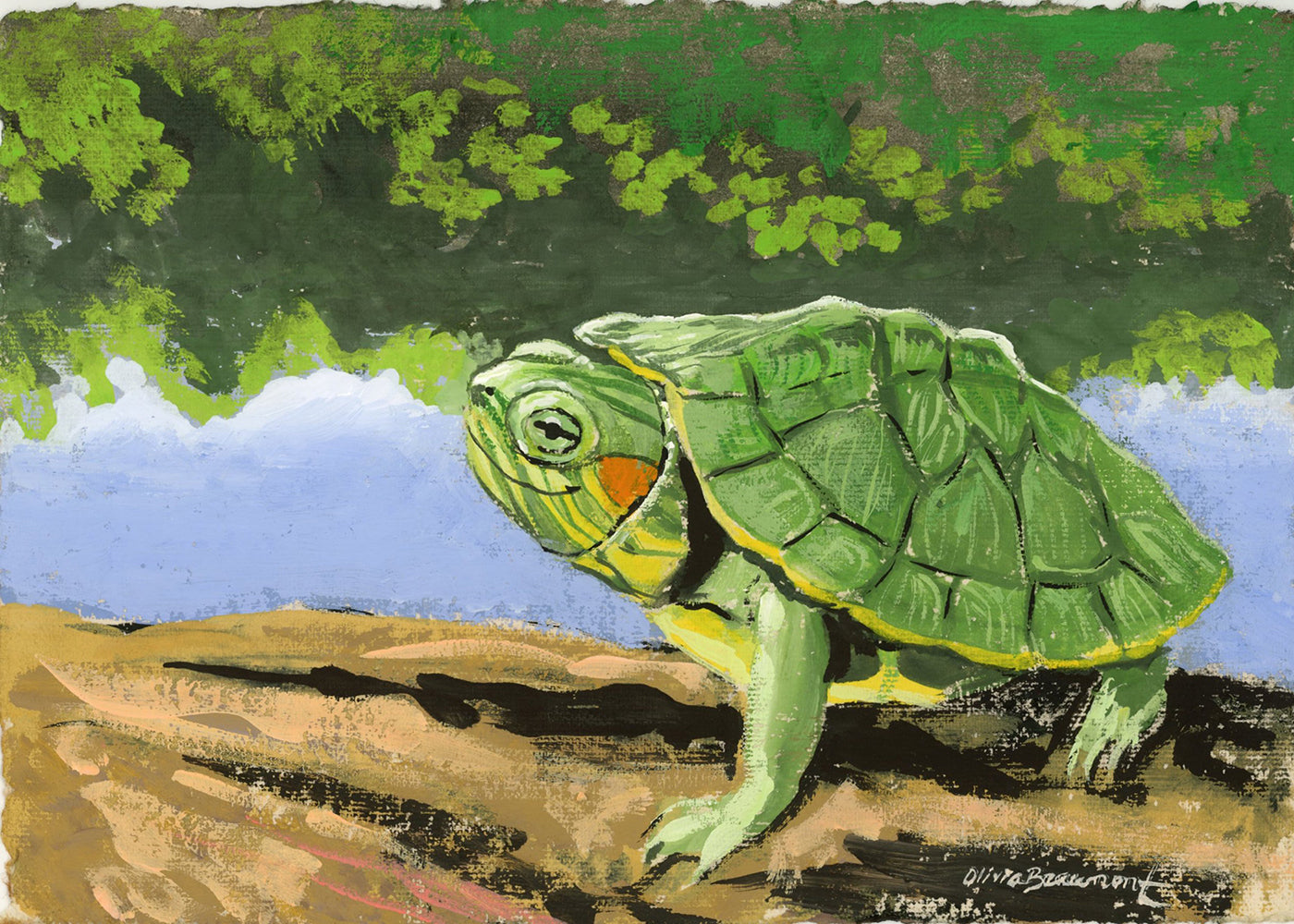 Soaking up the Sunshine - turtle print