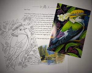Catch Up! The Whimsical Snail Mail Club 8 June 2026