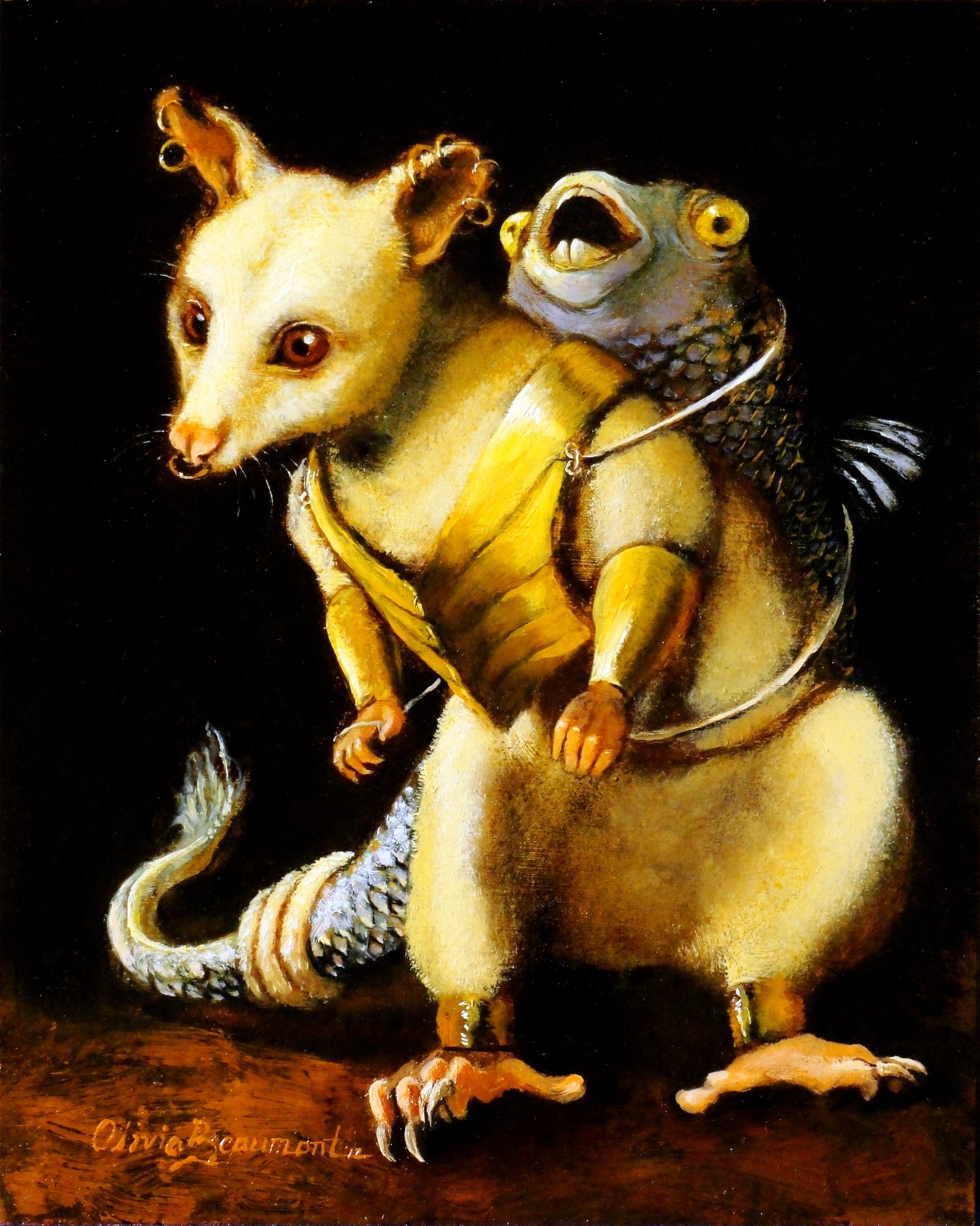 Nomad - opossum prints