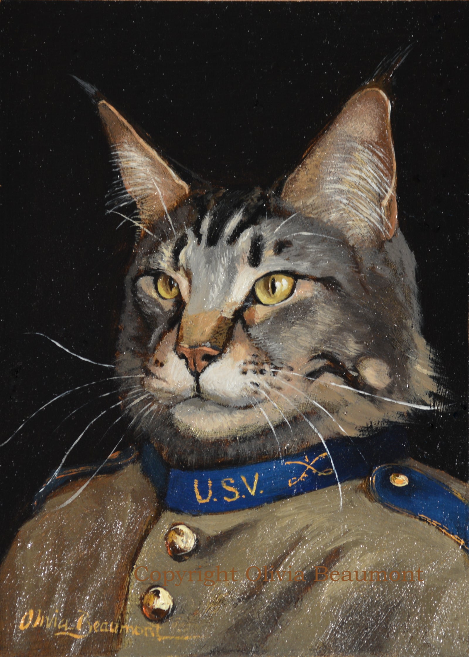 Rutherford - maine coon print