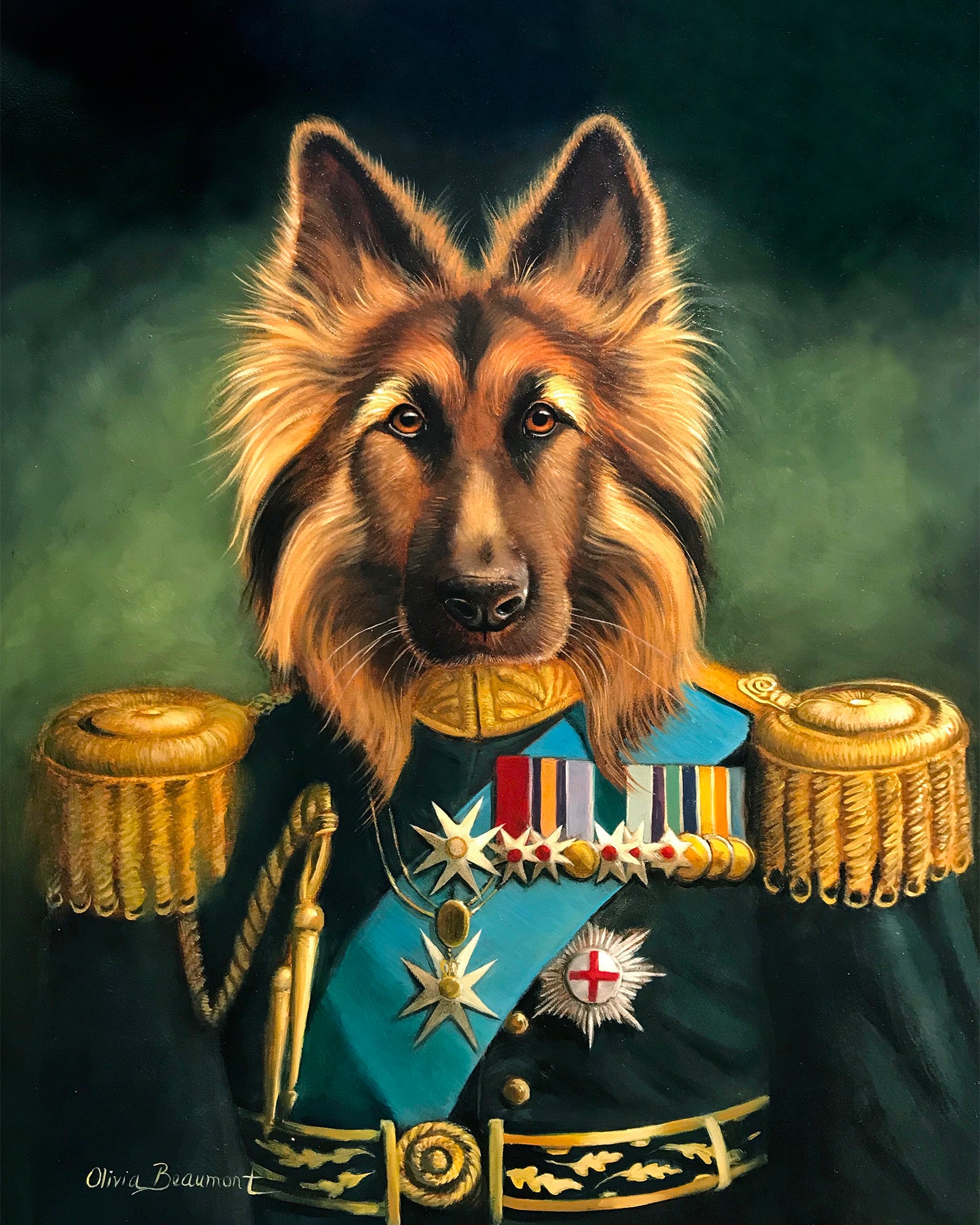 Sir Bulvi - dog prints