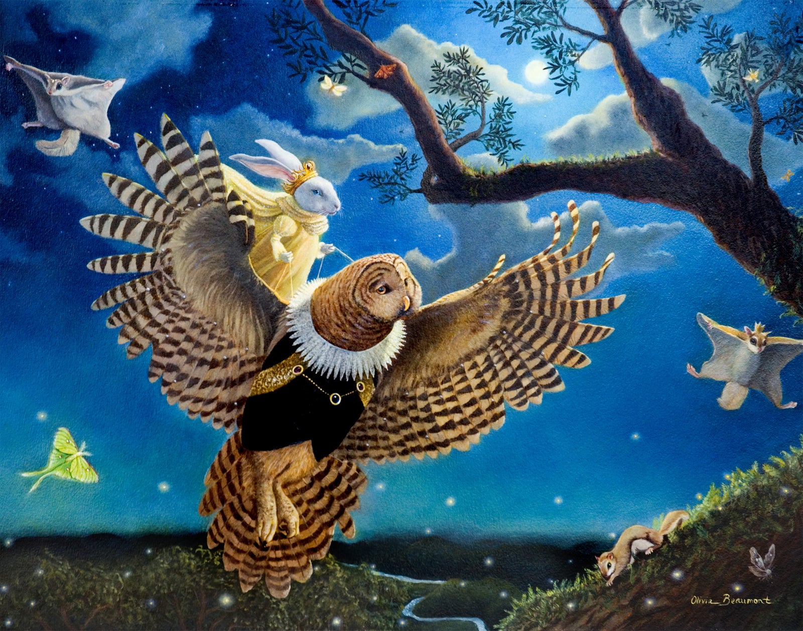 The Firefly Kingdom - barred owl prints