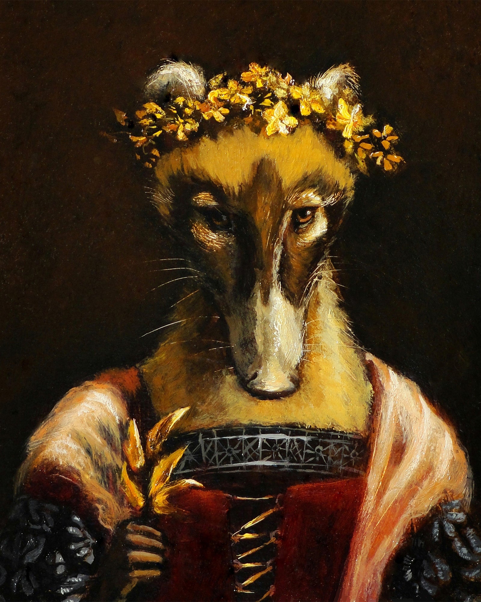 Triumph - coatimundi print